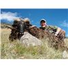 Image 5 : 4-DAY “HUNTERS CHOICE” SAFARI FOR 2 HUNTERS INCLUDING THE TROPHY FEE OF ONE ALPINE GOAT FOR EACH AND