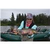 Image 2 : 6-DAY FISHING FOR 2 GUESTS AT STONEWOOD LODGE ON BEAUTIFUL LAKE CLARK, ALASKA