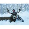 5-DAY UTAH MULE DEER HUNT FOR 1 HUNTER AND 1 NON-HUNTER