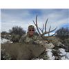 Image 2 : 5-DAY UTAH MULE DEER HUNT FOR 1 HUNTER AND 1 NON-HUNTER