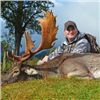 Image 9 : 5-DAY RED STAG & FALLOW DEER HUNT FOR 1 HUNTER AND 1 NON-HUNTER