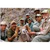 DESERT BIGHORN SHEEP PERMIT & HUNT EL VIZCAINO BIOSPHERE RESERVE, BAJA CALIFORNIA SUR, MEXICO