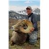 Image 2 : TAOS PUEBLO ROCKY MOUNTAIN BIGHORN SHEEP PERMIT