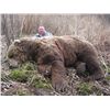 Image 2 : A 10 TO 12-DAY KODIAK ISLAND BROWN BEAR HUNT FOR 1 HUNTER