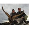 Image 3 : 3-DAY BECEITE IBEX HUNT AND 2-DAYS OF FORMULA 1 RACE & WINE TASTING/SIGHTSEEING AROUND BARCELONA, SP