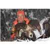 Image 3 : STATE OF WASHINGTON CALIFORNIA BIGHORN SHEEP PERMIT