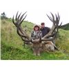 Image 5 : 5-DAY RED STAG HUNT (UP TO 330 SCI) IN NEW ZEALAND FOR 1 HUNTER AND 1 NON-HUNTER