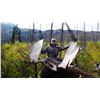 Image 2 : 12-DAY YUKON/ALASKA MOOSE HUNT FOR 1 HUNTER
