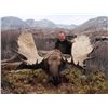 Image 3 : 12-DAY YUKON/ALASKA MOOSE HUNT FOR 1 HUNTER