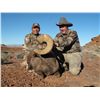 NAVAJO NATION DESERT BIGHORN PERMIT