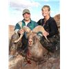 Image 2 : NAVAJO NATION DESERT BIGHORN PERMIT