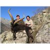 Image 3 : 6-DAY GREDOS IBEX & IBERIAN MOUFLON SHEEP HUNT 1X1 GUIDED FOR 1 HUNTER AND 1 NON-HUNTER