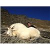 Image 3 : 9-DAY ALASKAN HUNT FOR 2 MOUNTAIN GOATS AND 1 SITKA BLACKTAIL DEER FOR 1 HUNTER
