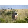 Image 11 : NEW MEXICO BIG GAME ENHANCEMENT PACKAGE