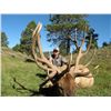 Image 3 : NEW MEXICO BIG GAME ENHANCEMENT PACKAGE