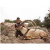 Image 4 : NEW MEXICO BIG GAME ENHANCEMENT PACKAGE