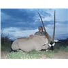 Image 9 : NEW MEXICO BIG GAME ENHANCEMENT PACKAGE