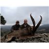 Image 3 : 14-DAY HUNT FOR 4 SPANISH IBEX (GREDOS, BECEITE, SOUTHEASTERN, AND RONDA) FOR 1 HUNTER AND 1 NON- HU