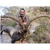 Image 5 : 14-DAY HUNT FOR 4 SPANISH IBEX (GREDOS, BECEITE, SOUTHEASTERN, AND RONDA) FOR 1 HUNTER AND 1 NON- HU
