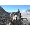 Image 2 : 12-DAY MARCO POLO HUNT IN TAJIKISTAN FOR 1 HUNTER