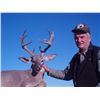 Image 2 : 11-DAY COUES/MULE DEER COMBO HUNT FOR 1 HUNTER