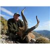 Image 2 : 12-DAY FANTASTIC 4 SPANISH IBEX HUNT FOR 1 HUNTER & 1 NON-HUNTER