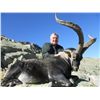 Image 8 : 12-DAY FANTASTIC 4 SPANISH IBEX HUNT FOR 1 HUNTER & 1 NON-HUNTER