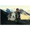 12-DAY DALL’S SHEEP HUNT FOR 1 HUNTER