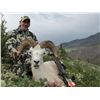 Image 2 : 12-DAY DALL’S SHEEP HUNT FOR 1 HUNTER
