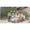 CARMEN ISLAND, MEXICO, DESERT BIGHORN SHEEP PERMIT