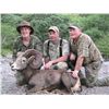 Image 7 : CARMEN ISLAND, MEXICO, DESERT BIGHORN SHEEP PERMIT