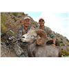 Image 8 : CARMEN ISLAND, MEXICO, DESERT BIGHORN SHEEP PERMIT