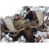 Image 5 : 10-DAY ALASKA-YUKON MOOSE HUNT FOR 1 HUNTER