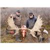 Image 7 : 10-DAY ALASKA-YUKON MOOSE HUNT FOR 1 HUNTER