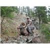 IDAHO BIGHORN SHEEP PERMIT