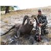 Image 2 : IDAHO BIGHORN SHEEP PERMIT