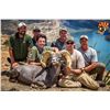 ARIZONA DESERT BIGHORN SHEEP PERMIT