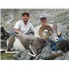 Image 5 : 12-DAY STONE’S SHEEP HUNT IN NORTHERN BRITISH COLUMBIA FOR 1 HUNTER