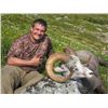 Image 8 : 12-DAY STONE’S SHEEP HUNT IN NORTHERN BRITISH COLUMBIA FOR 1 HUNTER