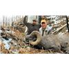 Image 1 : WYOMING ROCKY MOUNTAIN BIGHORN SHEEP LICENSE