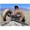 Image 2 : WYOMING ROCKY MOUNTAIN BIGHORN SHEEP LICENSE