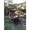 Image 2 : NEBRASKA GAME AND PARKS COMMISSION 2014 ELK TAG