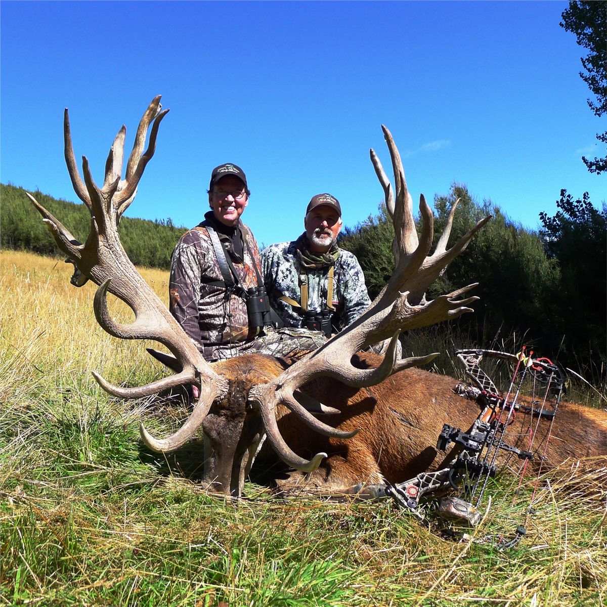 5-DAY NEW ZEALAND RED STAG HUNT FOR 2 HUNTERS SCORING UP TO 360 SCI