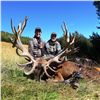 Image 2 : 5-DAY NEW ZEALAND RED STAG HUNT FOR 2 HUNTERS SCORING UP TO 360 SCI