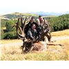 Image 3 : 5-DAY NEW ZEALAND RED STAG HUNT FOR 2 HUNTERS SCORING UP TO 360 SCI