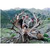 Image 7 : 5-DAY NEW ZEALAND RED STAG HUNT FOR 2 HUNTERS SCORING UP TO 360 SCI