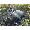 Image 2 : 11-DAY GRIZZLY BEAR “ADVENTURE HUNT” FOR 1 HUNTER