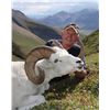 Image 2 : 12-DAY DALL’S SHEEP HUNT IN THE NORTHWEST TERRITORIES FOR 1 HUNTER & 1 NON-HUNTER WITH MOUNTAIN CARI