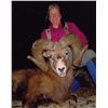 Image 2 : ALBERTA MINISTER’S SPECIAL BIGHORN SHEEP PERMIT