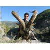 Image 11 : 12-DAY FANTASTIC 4 SPANISH IBEX HUNT FOR 1 HUNTER & 1 NON-HUNTER